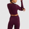 Compleu Fitness Sport burgundy Colanti si Bluza scurta cu perforatii SFIT011